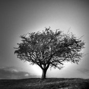 Photo de S P