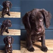 Kate Ellis's photo