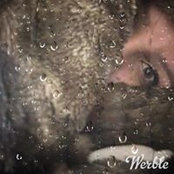 Michele Salim's photo