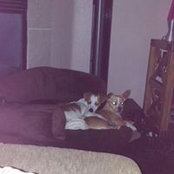 Foto von Heather Toth Jones