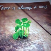 Anne Broderick's photo