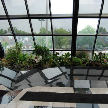Interior Landscape