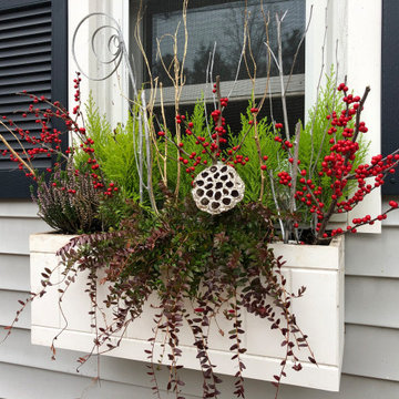 Holiday Window Boxes