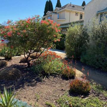 Bermed front yard
