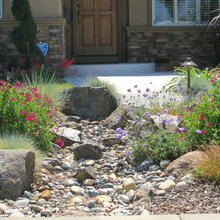 Front garden bed
