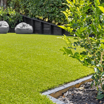 Backyard Football & Lounging