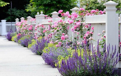 How to Bring Your Front Fence Back to Life