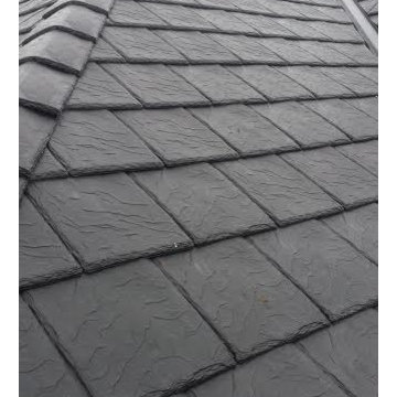 Roofscape