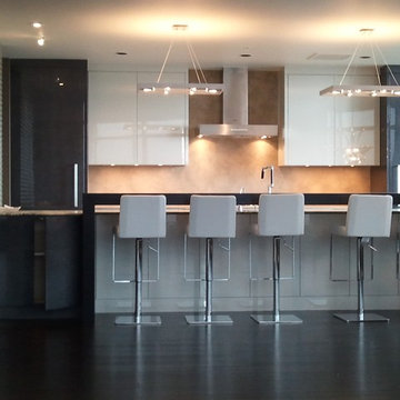 South Waterfront Penthouse