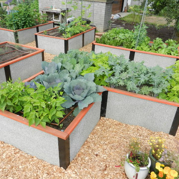 Backyard Gardens