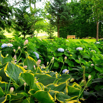 Tranquil Garden Nooks