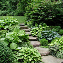 Gardens & Paths