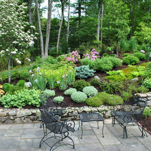 Landscape Ideas