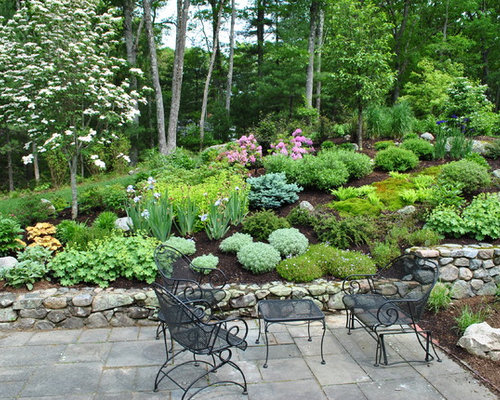 Berms Planting Home Design Ideas, Pictures, Remodel and Decor