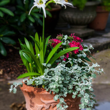 Containers / Planters