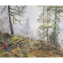 Акварель