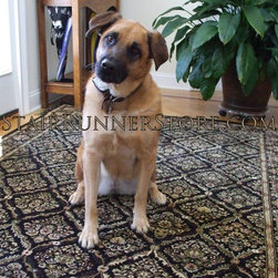 Pets on Stairs - Pet Supplies
