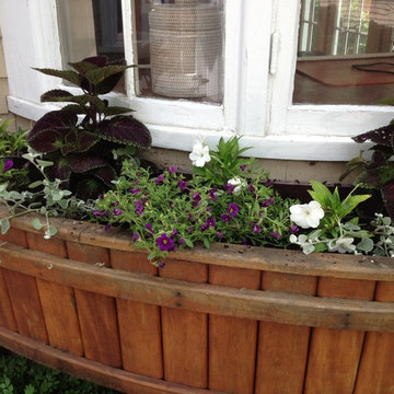 Seasonal Container Plantings & Changeovers