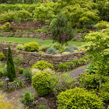 Side Yard