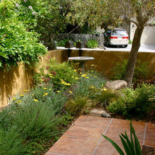 front landscaping