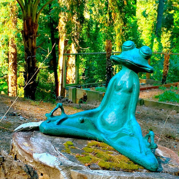 Zen frog