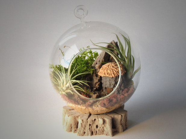 Eclectic Terrariums by Midnight Blossom