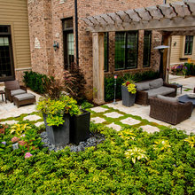 Outdoor backyard