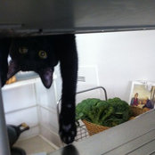 sara intini's photo