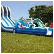Sky Hy Bouncers C's photo