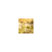 C B's photo