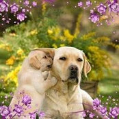 Apiyo Rota's photo