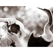 Isabel Barney's photo
