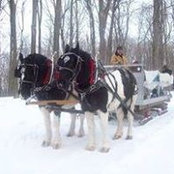 Susan Krull's photo