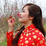 Trương Hương's photo