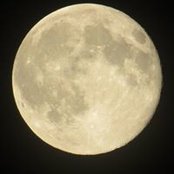 Kay Powers's photo