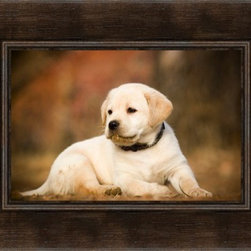 Framed Prints - Products