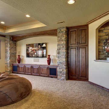 Basement TV Wall & Niche