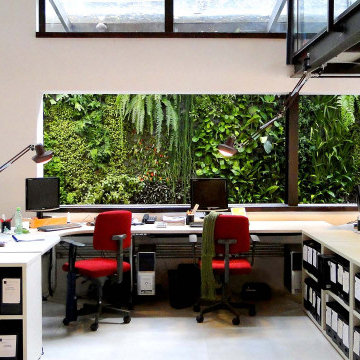 Living Walls