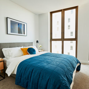 Contemporary Bedroom