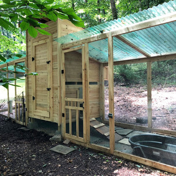 Chicken Coop