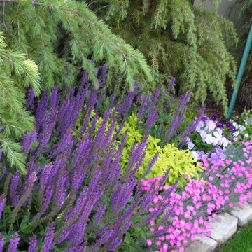 AC Dwellings Gardens
