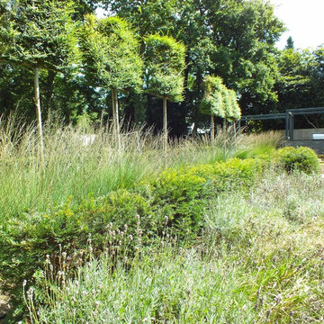 Rosier House Middlesex