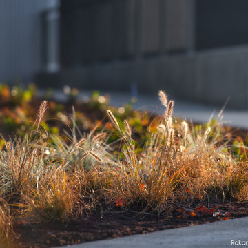 COMMERCIAL LANDSCAPE SERVICES