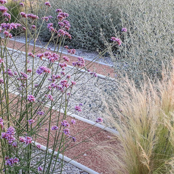 Trait d'union dry garden
