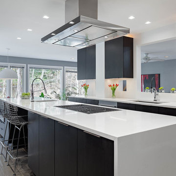 Dark solid wood slab doors with sleek glossy white quartz