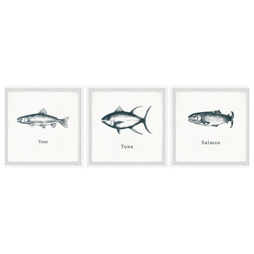 Salmon and Tuna Triptych, 3-Piece Set, 12x12 Panels