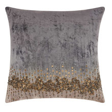 Antarctica Pillows