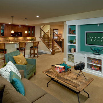 Asheville Basement