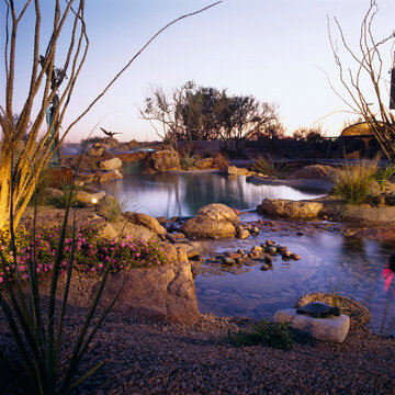 Commercial Pool