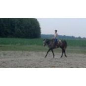Gabey Ann's photo